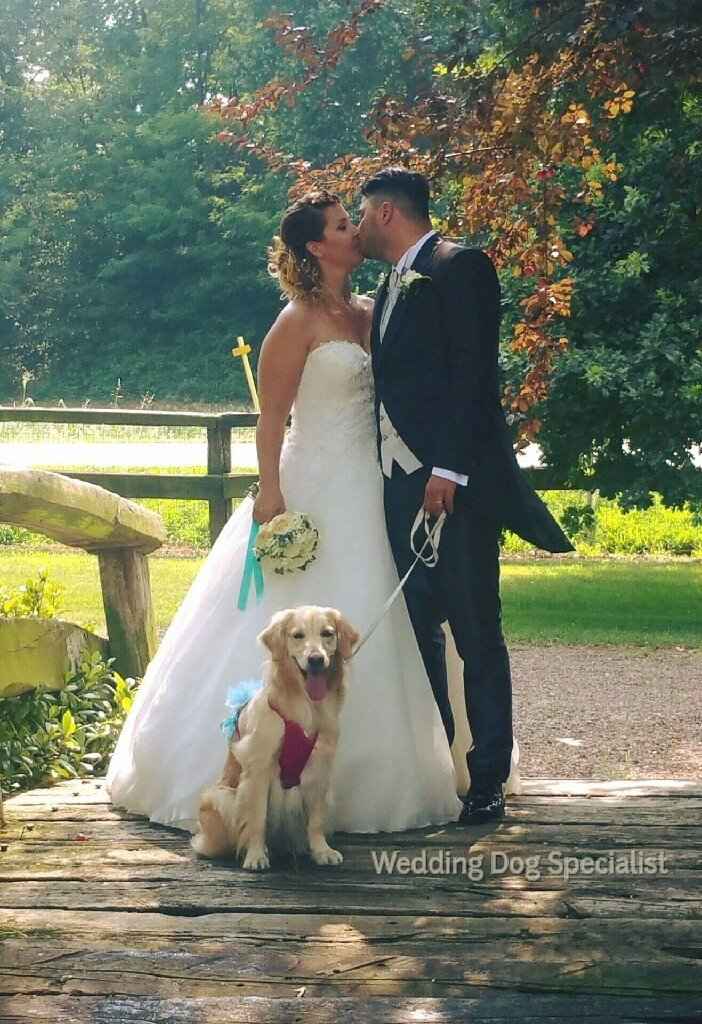 Amici a 4 zampe si o no?!! - 1