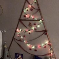 Avete mai fatto l'albero insieme? - 1