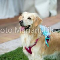 Bau al matrimonio! - 1