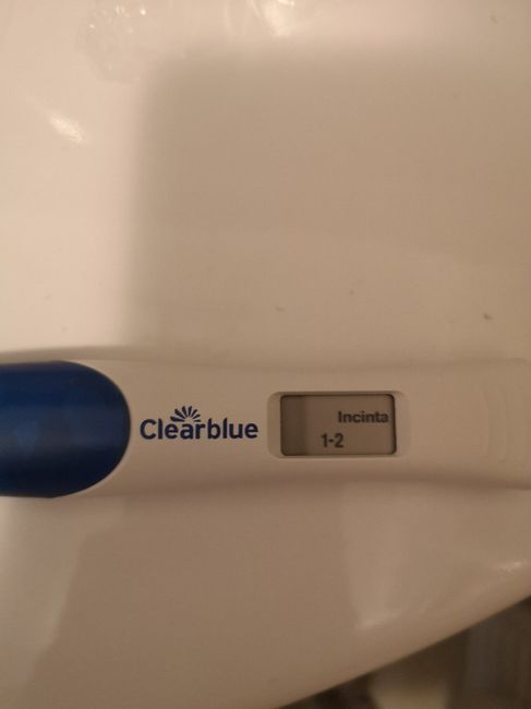 ❤🧡💛💚💙💜 pma 2020, siamo cariche? 💪🏻 - 1