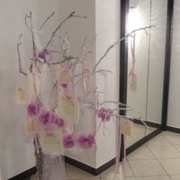 matrimonio Antonio e Jessica