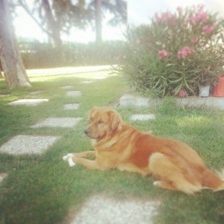 Oggi vi presento i nostri "mimmi" :) - 1