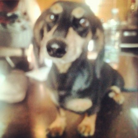 Oggi vi presento i nostri "mimmi" :) - 2