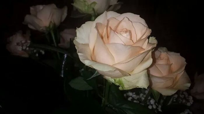 Il nostro rinfresco di matrimonio - 5