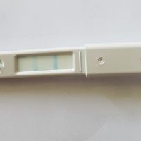 Test ovulazione come test precoce gravidanza.. - 1