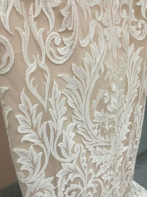  Ecco il mio abito! - 2