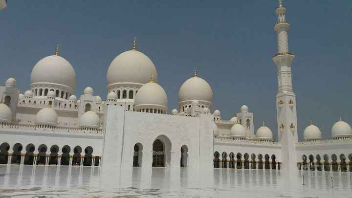 Cosa scegliere?? - 3