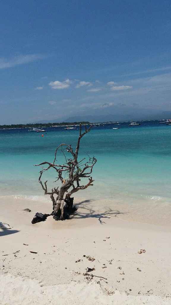 Il miglior viaggio? - 4