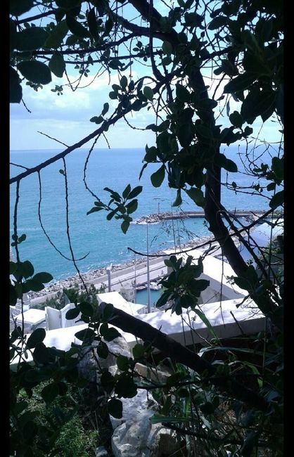 Ho bisogno di un consiglio.. - 1