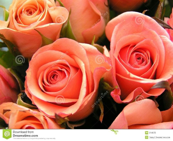 Ragazze aiuto fiori guardate - 4