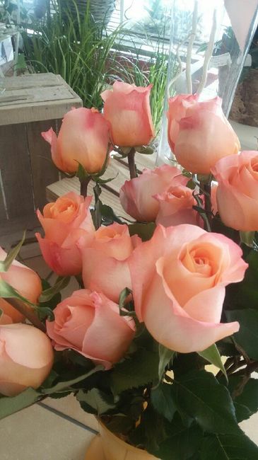 Ecco a voi le mie rose.vi piacciono??? - 1