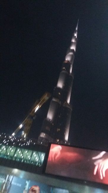 Cosa scegliere?? - 5