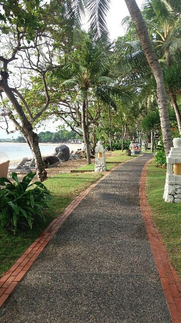 Il miglior viaggio? - 3