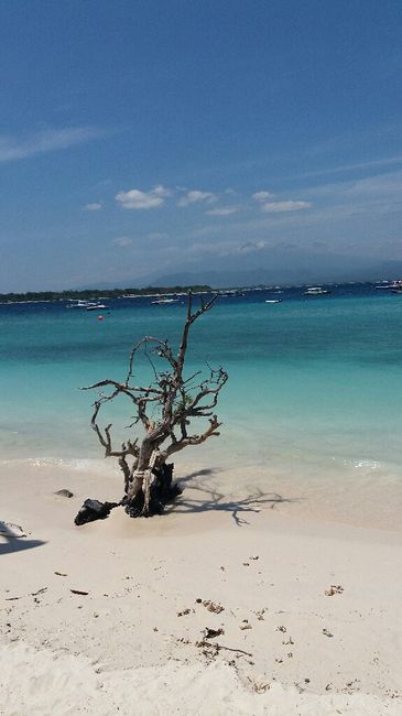 Il miglior viaggio? - 4