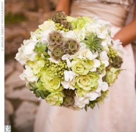 Tema Colore