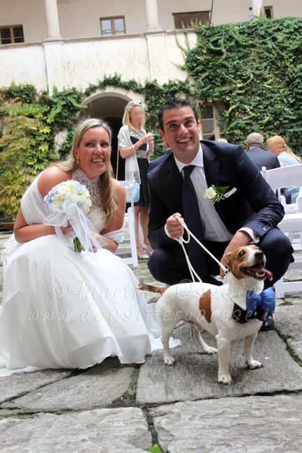 Gino con Wedding dogsittervarese