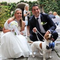 Gino con Wedding dogsittervarese