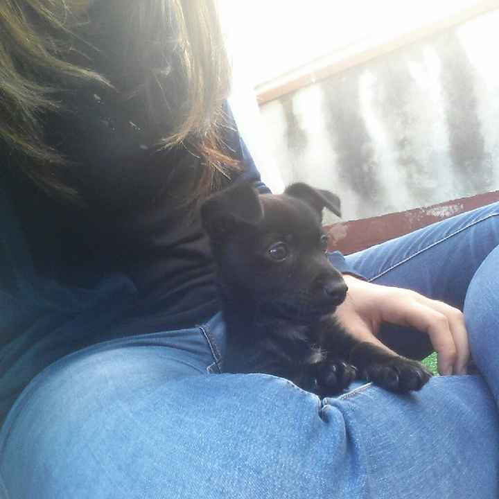 Trilly sarà con me :) - 1