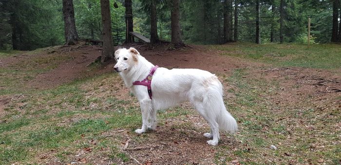 partecipazioni con due ospiti speciali 3