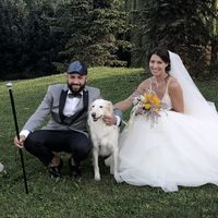 Auguri ai nostri amici a quattro zampe che averanno sempre un posto speciale nel nostro cuore - 1