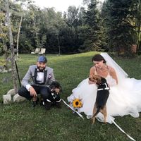 Auguri ai nostri amici a quattro zampe che averanno sempre un posto speciale nel nostro cuore - 2