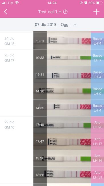 Non ci capisco più nulla - 2