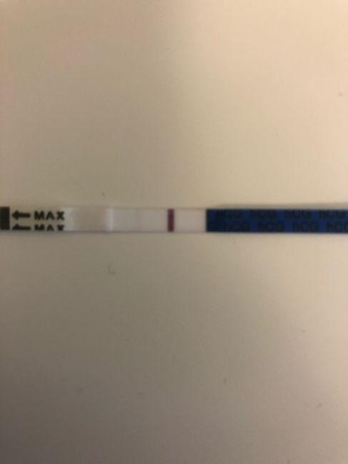 Mi aiutate? :d stik e test... 7