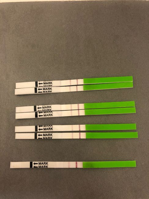 Per chi non le aspetta per febbraio 2020 - 1