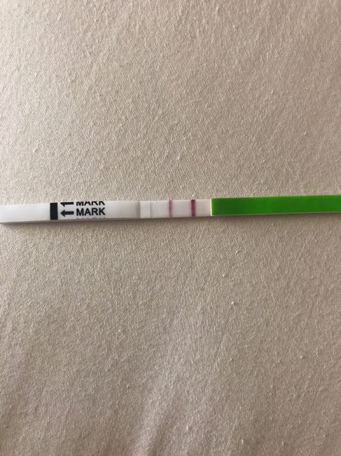 Chi non le aspetta per Marzo 2020 - 1