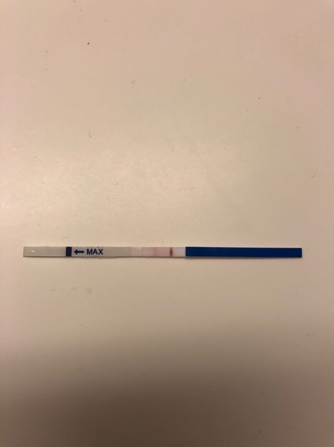 Chi non le aspetta per Maggio 2020 - 1