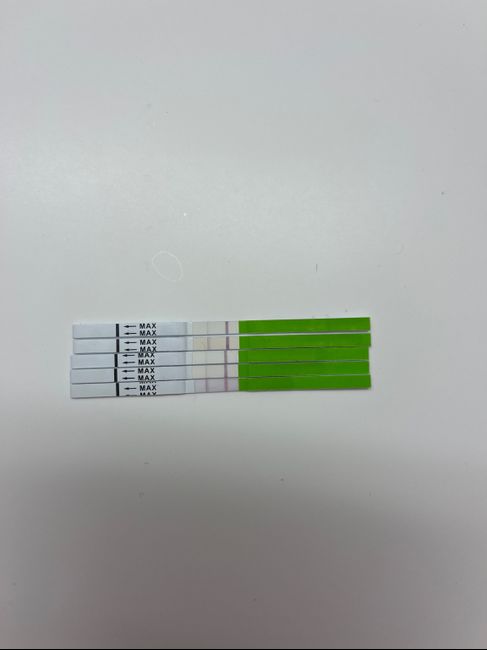 Chi non le aspetta per Aprile 2022 💓🍀🤞🏼 - 1