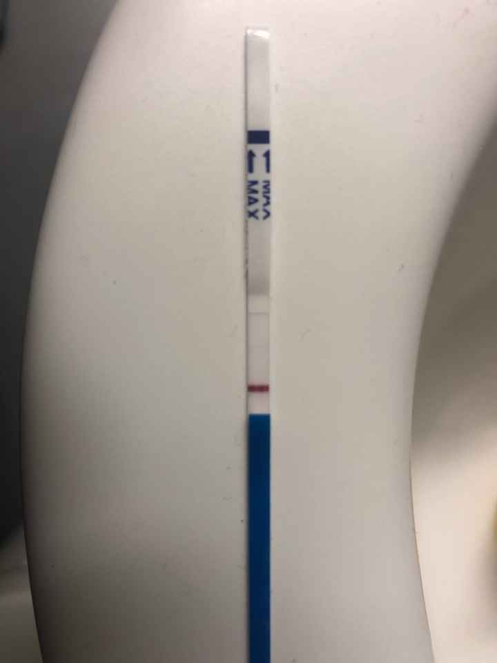 Chi non le aspetta per Marzo 2020 - 1