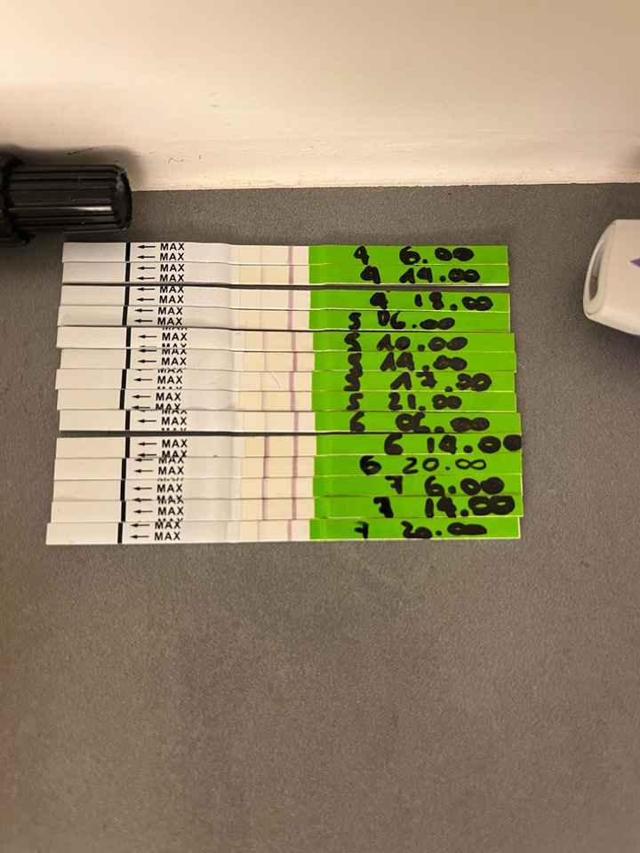 Chi non le aspetta per Aprile 2022 💓🍀🤞🏼 - 1