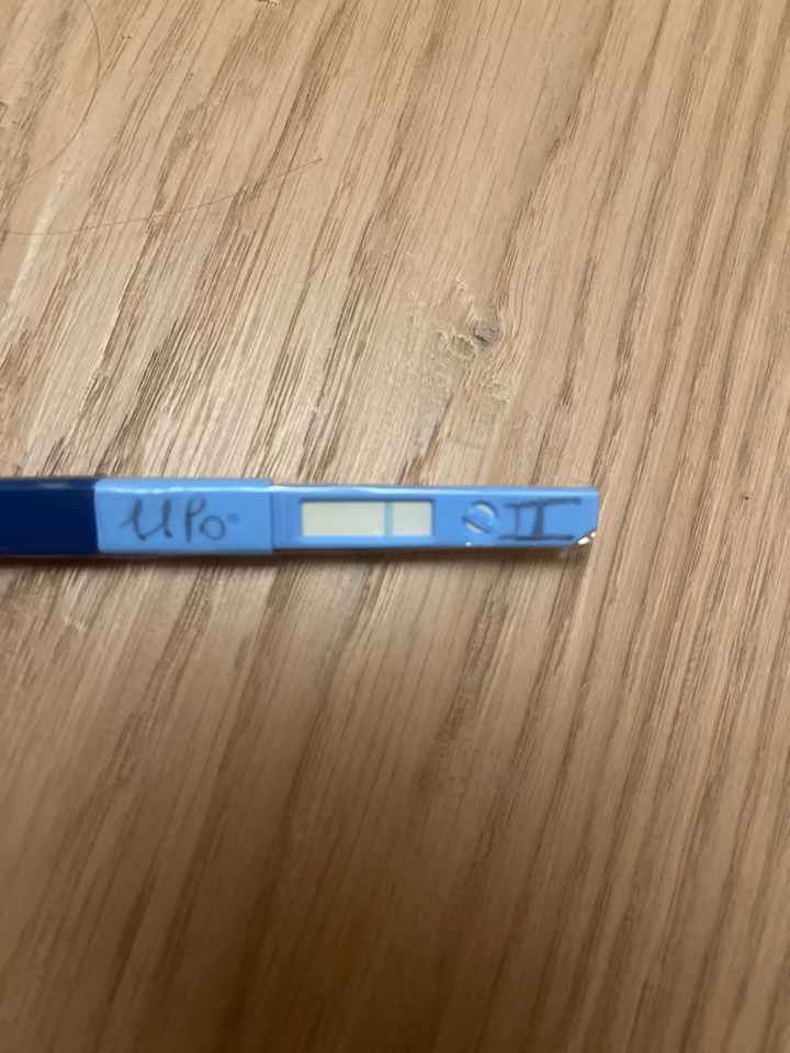 Chi non le aspetta per Giugno 2022 🌻🤰🏻♥️ - 1