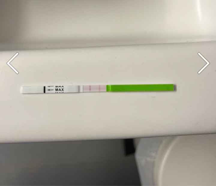 Chi non le aspetta per Ottobre 2022 🍁🧡🌤 - 1