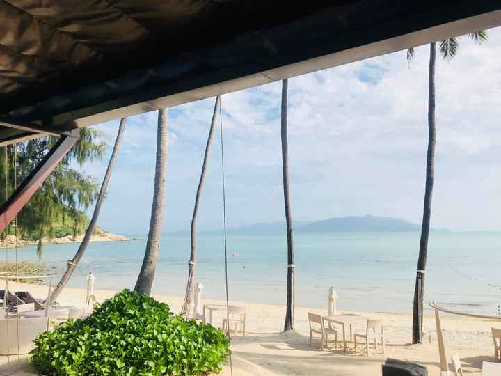 Honeymoon 😍😍 Thailandia - 1