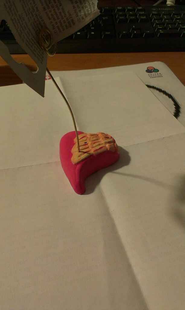 Grazie ai vostri consigli, che ne dite? - 1