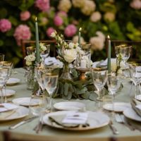 Palette verde salvia o pistacchio - 1