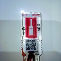 Per chi non le aspetta per febbraio 2020 - 1