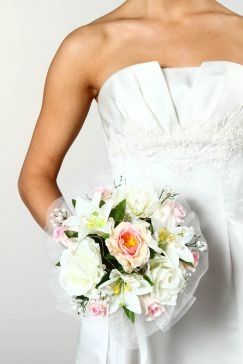 lillium camelie doppie