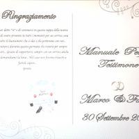 Manuale perfetta testimone