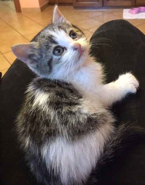 La nostra piccola Nina!