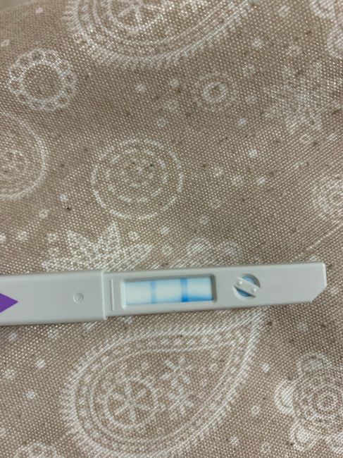 Chi non le aspetta per Gennaio 2022 🍀🍀🍀 - 1