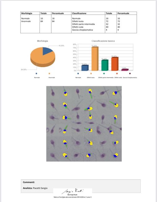 Chi non le aspetta per Gennaio 2022 🍀🍀🍀 - 3