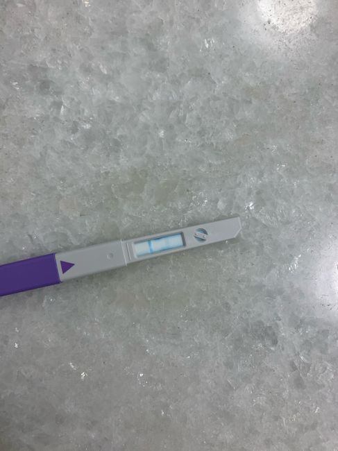 Chi non le aspetta per Gennaio 2022 🍀🍀🍀 - 1