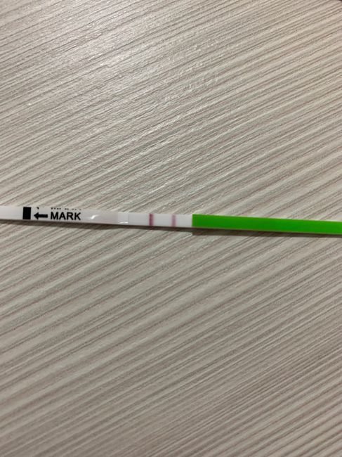 Chi non le aspetta per Gennaio 2022 🍀🍀🍀 - 1