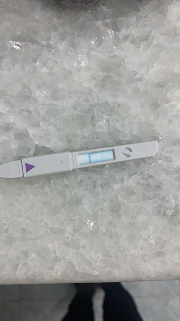 Chi non le aspetta per Gennaio 2022 🍀🍀🍀 - 2