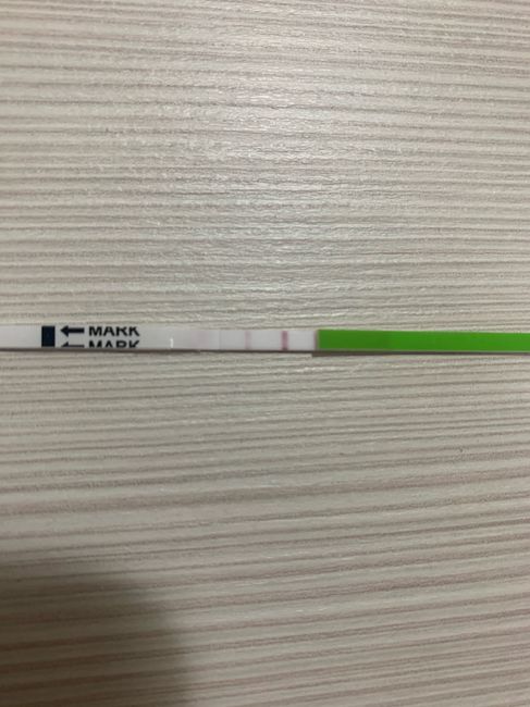 Chi non le aspetta per Gennaio 2022 🍀🍀🍀 - 1