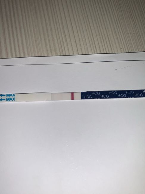 Chi non le aspetta per Gennaio 2022 🍀🍀🍀 - 1