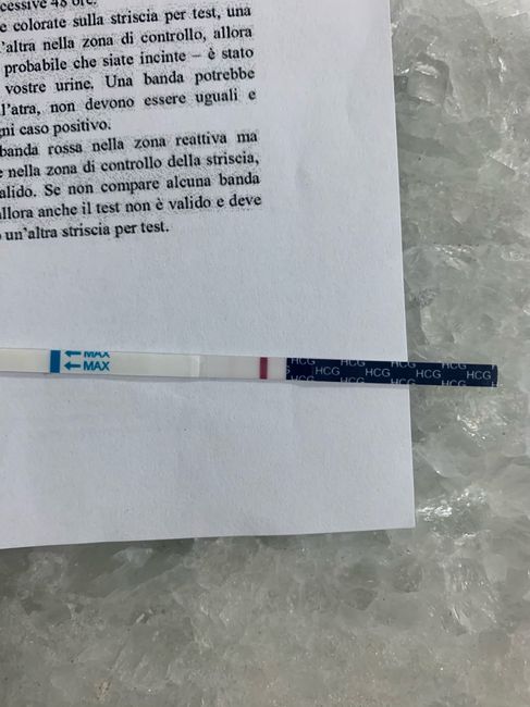 Chi non le aspetta per Gennaio 2022 🍀🍀🍀 - 1